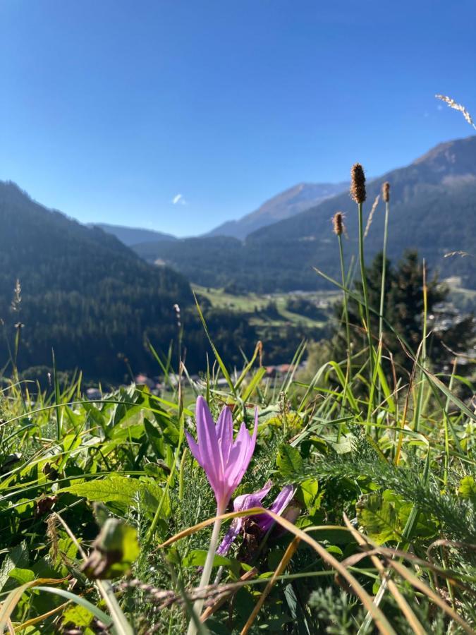 Fewo Gotschna Haus Bargis Klosters Exterior foto